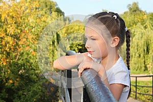 Little girl is lean elbow on bridge fence