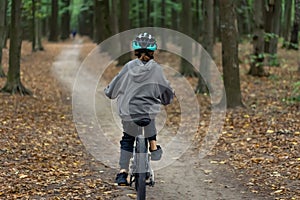 Little girl learning to ride a bicycle in the park, rear view.