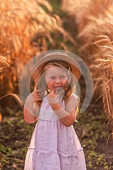 Little girl in a light pink sundress and a straw hat runs across a field of golden wheat and rye