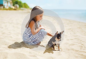 Little girl and little dog on the beach in sunny summer day