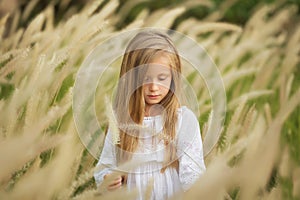 Little girl with long flowing hair gathers ears in summer field