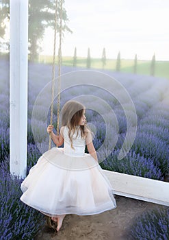 A little girl with long flowing hair sits on a rope swing in a lavender field in a fluffy tulle dress at dawn with fog