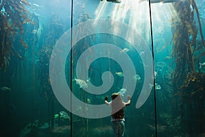 Little girl looking at fish tank