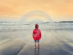 Little girl looking the sea