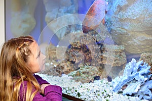 Little girl looks at big fish swimming in aquarium