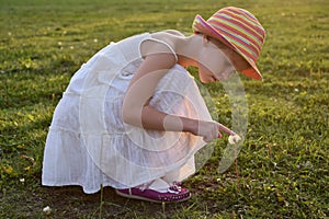 little girl looks at a fluffy dandelion. The rays of the setting sun, glare and backlight. The concept of childhood