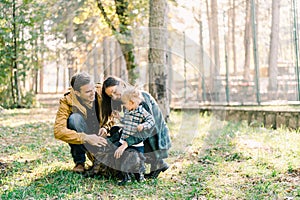 Little girl looks at mom and dad stroking a french bulldog in the forest