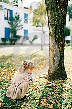 Little girl looks at mushrooms, squatting near a tree in an autumn park. Back view
