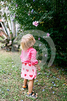 Little girl looks at a purple flower on a green bush