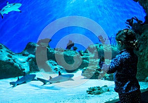 Little girl looks at sharks in beautiful aquarium