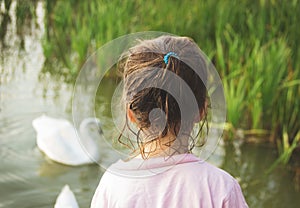 Little girl looks on a swan standing at water
