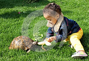 Little girl lovingly feeding her tortoise with a banana photo