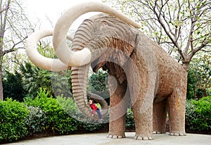 Little girl lying on an elephant's proboscis