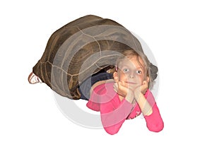 Little girl lying inside empty shell of a giant tortoise.White background isolated