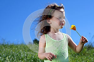 Little girl in a meadow