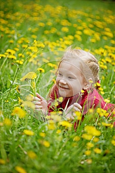 Little girl and meadow with dandelions. Summer day, outdoors