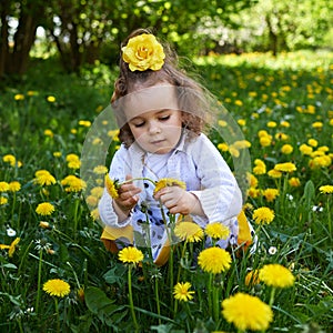 Little girl meadow gather yellow dandelion