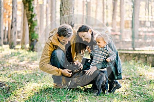 Little girl with mom and dad stroking a dog in the forest