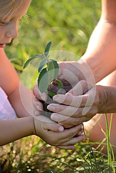 Little girl and mother holding a plant