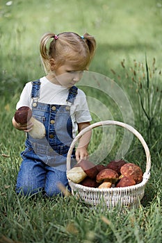 Little girl with mushrooms in hand on the green lawn