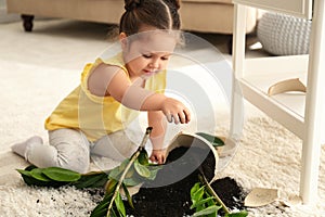 Little girl near houseplant and broken pot