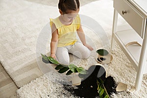 Little girl near houseplant and broken pot