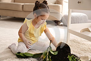 Little girl near houseplant and broken pot