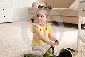 Little girl near houseplant and broken pot