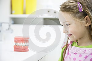 Little girl observing model of human jaw with braces