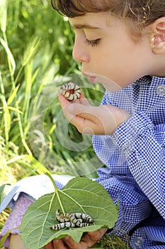 Little girl palying with silkworm in hands