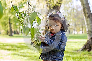 A little girl in park at a blooming branch of bird cherry tree