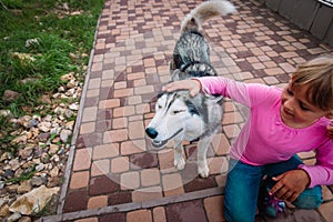 Little girl pet husky dog outside, dog therapy against anxiety