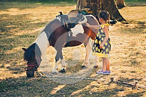 Little girl pet pony horse outdoor in park