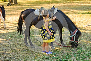 Little girl pet pony horse outdoor in park