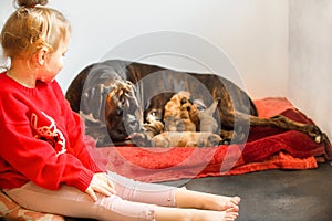 Little girl and pets, with puppies. Care and love for pets in children.