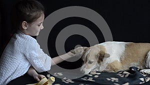 Little girl petting the dog and offering a toy.