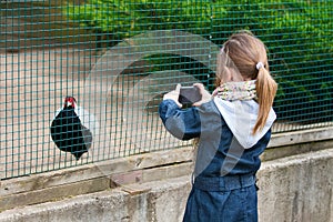 A little girl photographed pheasant.