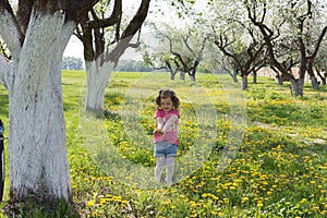 Little girl pick up dandelion on the lawn