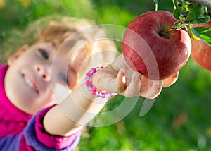 little girl picked ripe apples