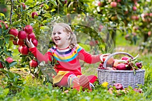 Little girl picking apple in fruit garden