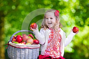 Little girl picking apples in fruit orchard photo