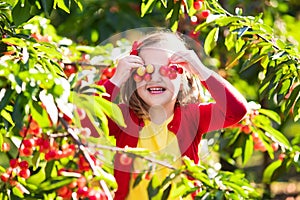 Little girl picking cherry in fruit garden