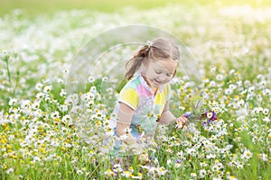 Little girl picking flowers in daisy field