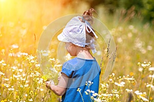 Little girl picking flowers on the meadow