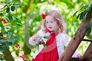 Little girl picking fresh cherry berry in the garden