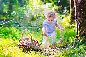 Little girl picking mushrooms in autumn park