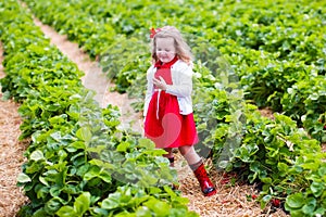 Little girl picking strawberry on a farm field