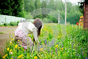 Little girl picking up summer flowers