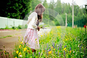 Little girl picking up summer flowers