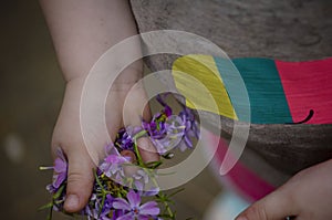 Little girl picks flowers